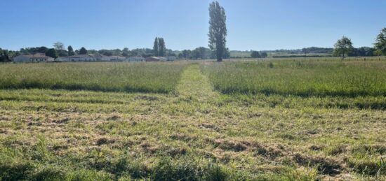 Terrain à bâtir à Boisredon, Nouvelle-Aquitaine