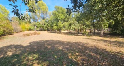 Le Cannet-des-Maures Terrain à bâtir - 2279154-10295annonce220250922O4Bh4.jpeg Maisons France Confort