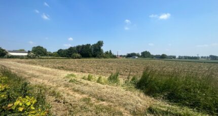 Thélus Terrain à bâtir - 2276277-10222annonce120250919TybHm.jpeg Maisons France Confort