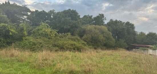 Terrain à bâtir à Vendays-Montalivet, Nouvelle-Aquitaine
