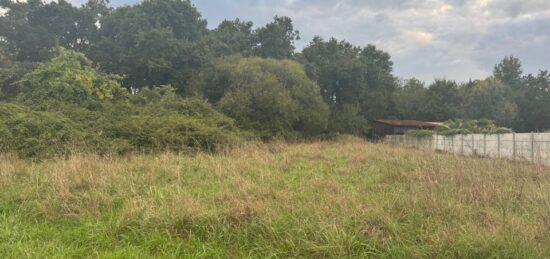 Terrain à bâtir à , Gironde