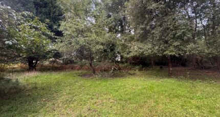 Vendays-Montalivet Terrain à bâtir - 2281064-10624annonce120250923aXhUD.jpeg Maisons France Confort