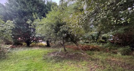 Vendays-Montalivet Terrain à bâtir - 2281064-10624annonce2202509237PRpR.jpeg Maisons France Confort