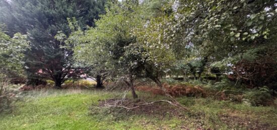 Terrain à bâtir à , Gironde