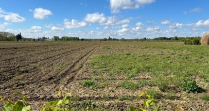 Locon Terrain à bâtir - 2280855-5804annonce120250923KuTkf.jpeg Maisons France Confort