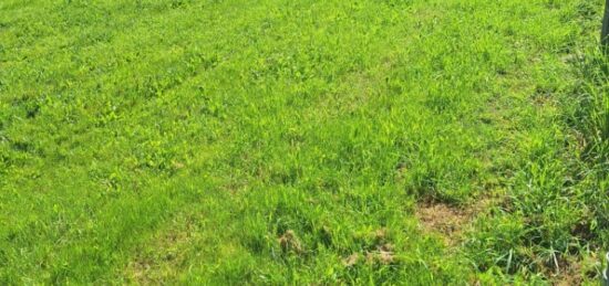 Terrain à bâtir à , Tarn-et-Garonne