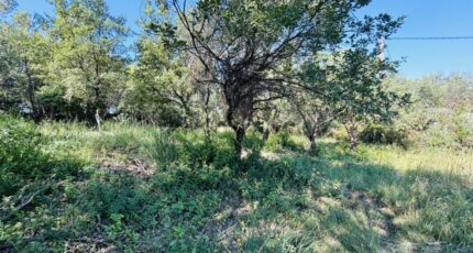 Flayosc Maison neuve - 2281885-4529annonce220250924olmFy.jpeg Maisons France Confort