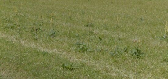 Terrain à bâtir à Sept-Saulx, Grand Est