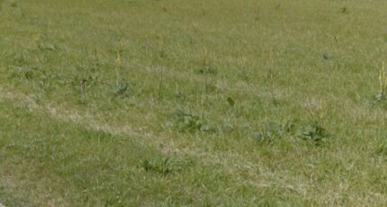 Sept-Saulx Maison neuve - 2252945-10076annonce120250325okiiV.jpeg Maisons France Confort