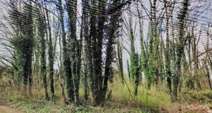 Bazancourt Maison neuve - 2282948-10076annonce120250131NtOtb.jpeg Maisons France Confort