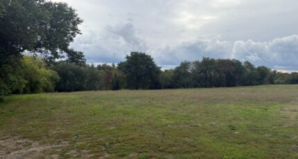 Montastruc-la-Conseillère Maison neuve - 2281889-11356annonce4202509247ThEK.jpeg Maisons France Confort