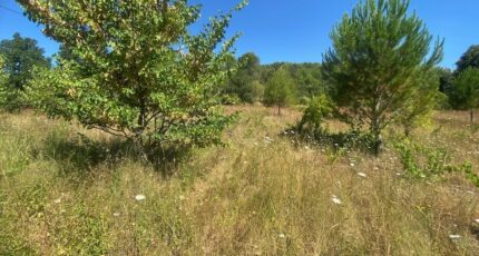 Lorgues Maison neuve - 2250816-10122annonce220250826iHRT9.jpeg Maisons France Confort