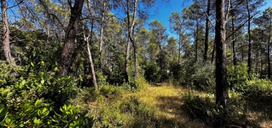 Terrain à bâtir à Bagnols-en-Forêt, Provence-Alpes-Côte d'Azur