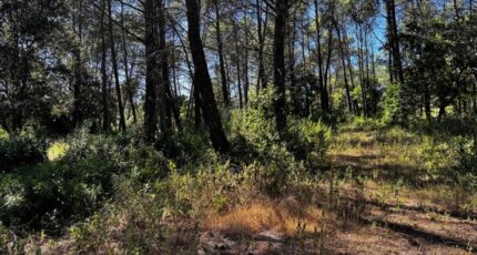 Fréjus Terrain à bâtir - 2286206-3701annonce120250927afyQ7.jpeg Maisons France Confort