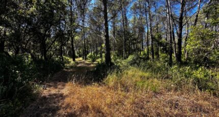 Fréjus Terrain à bâtir - 2286206-3701annonce220250927S4tVJ.jpeg Maisons France Confort