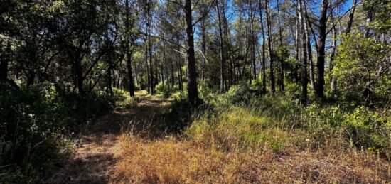 Terrain à bâtir à , Var