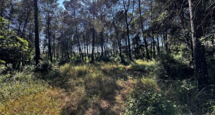 Fréjus Terrain à bâtir - 2286206-3701annonce320250927CaX75.jpeg Maisons France Confort