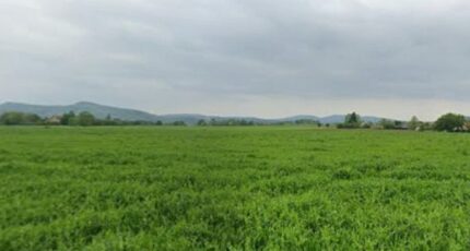 Mazères-sur-Salat Maison neuve - 2285522-6043annonce5202509267FVMK.jpeg Maisons France Confort