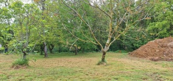 Terrain à bâtir à Pibrac, Occitanie