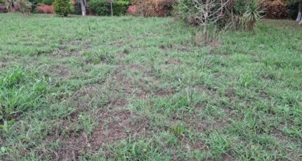 La Salvetat-Saint-Gilles Maison neuve - 2285537-9555annonce220250926QT9UP.jpeg Maisons France Confort