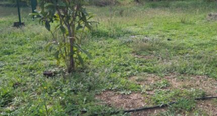 Aubagne Terrain à bâtir - 2287857-7080annonce2202511142mJua.jpeg Maisons France Confort