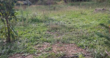 Aubagne Terrain à bâtir - 2287857-7080annonce320251114pdQCK.jpeg Maisons France Confort