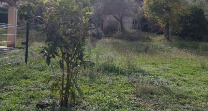 Aubagne Terrain à bâtir - 2287857-7080annonce420251114W9APU.jpeg Maisons France Confort