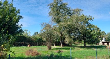 Mirepoix-sur-Tarn Maison neuve - 2288481-5604annonce220250930h5qDF.jpeg Maisons France Confort