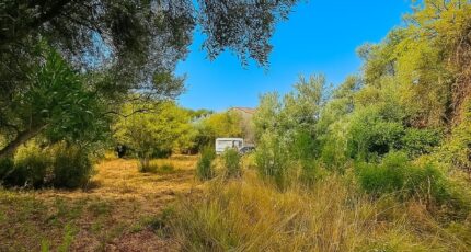 Lorgues Terrain à bâtir - 2290127-4529annonce220251001x8ZGo.jpeg Maisons France Confort