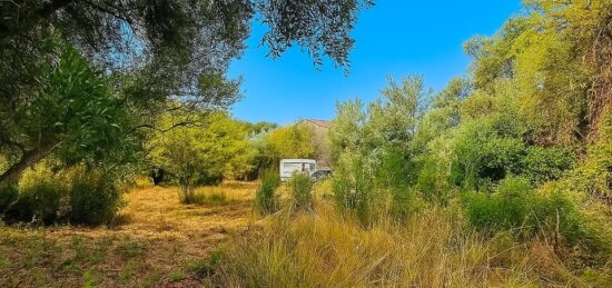 Terrain à bâtir à Lorgues, Provence-Alpes-Côte d'Azur