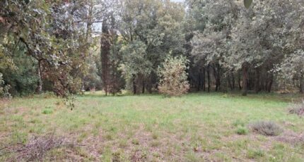 Raissac-sur-Lampy Terrain à bâtir - 2288915-10986annonce120250930vWwzf.jpeg Maisons France Confort