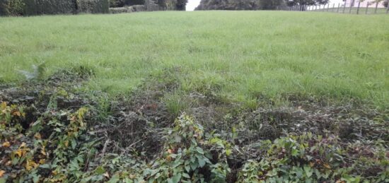 Terrain à bâtir à , Haute-Vienne