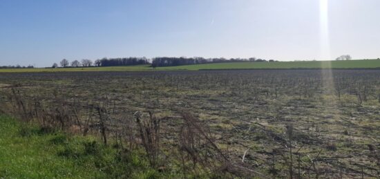 Terrain à bâtir à Merville, Occitanie