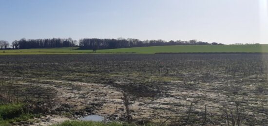 Terrain à bâtir à , Haute-Garonne
