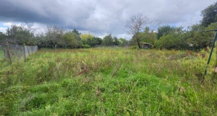 Lescure-d'Albigeois Terrain à bâtir - 2289862-11178annonce120251001dHfMO.jpeg Maisons France Confort