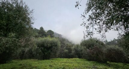 Berre-les-Alpes Terrain à bâtir - 2293463-10633annonce220250605Z3FVN.jpeg Maisons France Confort