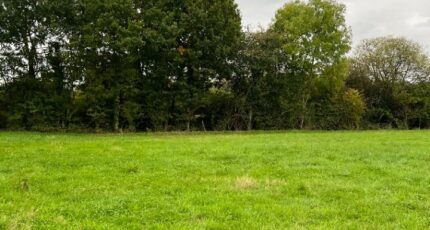 Alençon Terrain à bâtir - 2293661-3704annonce120251003rf4XU.jpeg Maisons France Confort