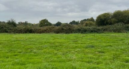 Saint-Germain-du-Corbéis Terrain à bâtir - 2293680-3704annonce120251003xRQBo.jpeg Maisons France Confort