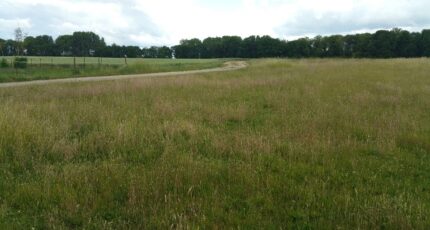 Époye Terrain à bâtir - 2293919-10076annonce120251003DhZf3.jpeg Maisons France Confort