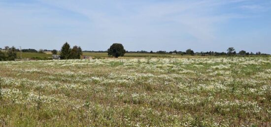 Terrain à bâtir à Montville, Normandie
