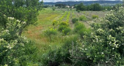 Sabran Maison neuve - 2295154-3418annonce220251006FCURL.jpeg Maisons France Confort