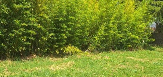 Terrain à bâtir à Montech, Occitanie