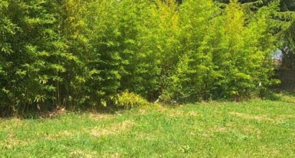 Montech Maison neuve - 2294457-3575annonce2202510048unca.jpeg Maisons France Confort