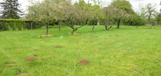 Terrain à bâtir à Moisson, Île-de-France