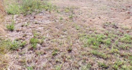 Le Teich Terrain à bâtir - 2295855-11151annonce120251006qQoD0.jpeg Maisons France Confort