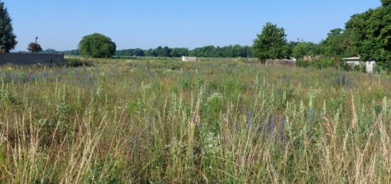 Terrain à bâtir à Artzenheim, Grand Est