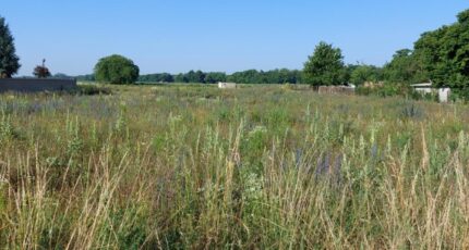 Artzenheim Terrain à bâtir - 2296111-5767annonce120251007KeZnF.jpeg Maisons France Confort