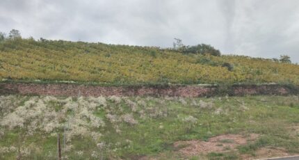 Katzenthal Maison neuve - 2296092-5767annonce120251007ftG59.jpeg Maisons France Confort