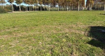 Beaupuy Terrain à bâtir - 2298925-11292annonce120251008e3Hw5.jpeg Maisons France Confort