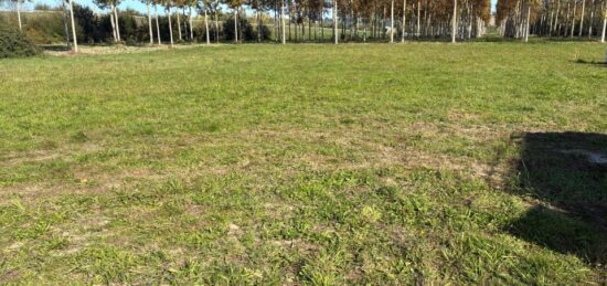 Terrain à bâtir à Beaupuy, Nouvelle-Aquitaine